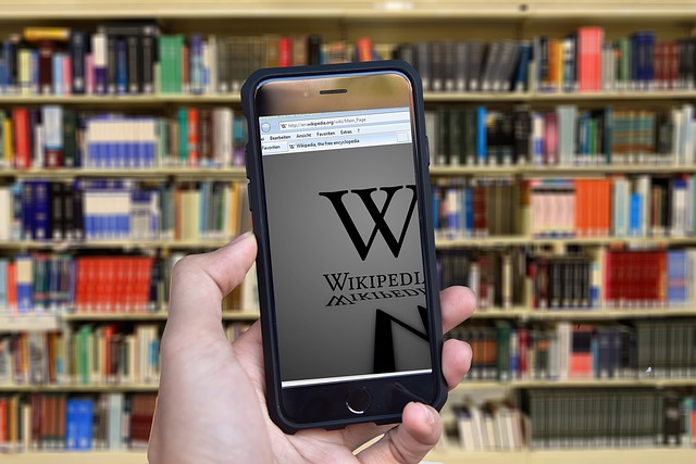 using wikipedia as a source in academic papers